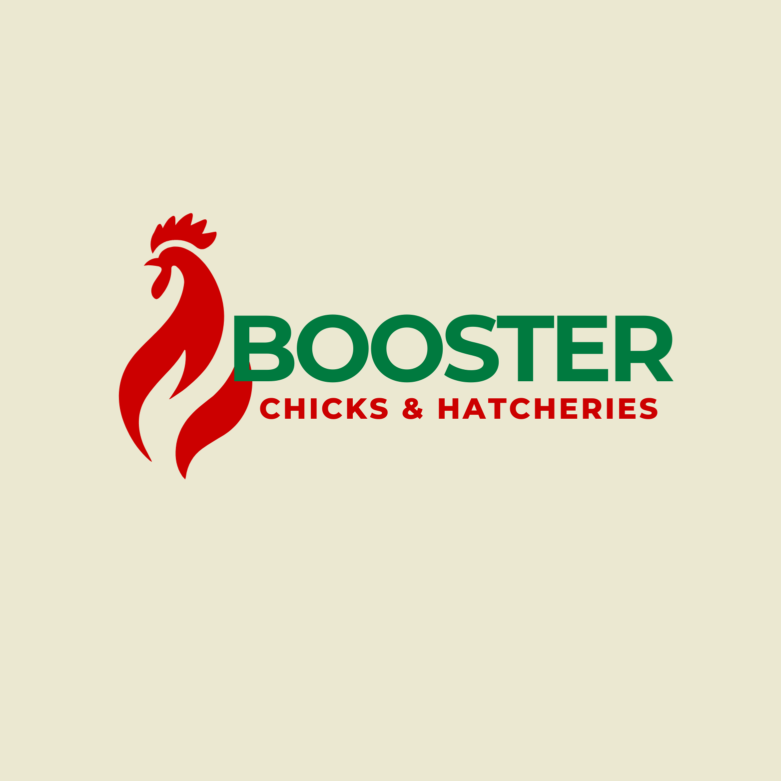 Chicks & Hatcheries